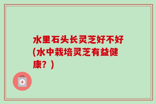 水里石头长灵芝好不好(水中栽培灵芝有益健康?) 水里石头长灵芝好不好(水中栽培灵芝有益健康?)