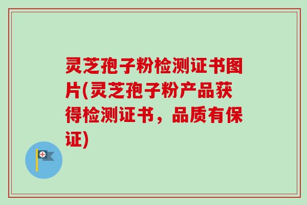 灵芝孢子粉检测证书图片(灵芝孢子粉产品获得检测证书,品质有保证) 灵芝孢子粉检测证书图片(灵芝孢子粉产品获得检测证书,品质有保证)