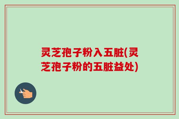 灵芝孢子粉入五脏(灵芝孢子粉的五脏益处) 灵芝孢子粉入五脏(灵芝孢子粉的五脏益处)