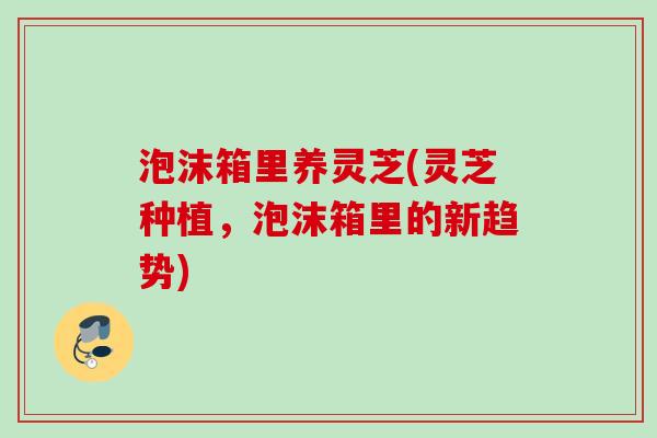 泡沫箱里养灵芝(灵芝种植,泡沫箱里的新趋势) 泡沫箱里养灵芝(灵芝种植,泡沫箱里的新趋势)