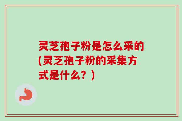 灵芝孢子粉是怎么采的(灵芝孢子粉的采集方式是什么？)