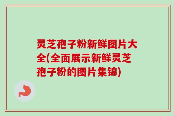 灵芝孢子粉新鲜图片大全(全面展示新鲜灵芝孢子粉的图片集锦) 灵芝孢子粉新鲜图片大全(全面展示新鲜灵芝孢子粉的图片集锦)