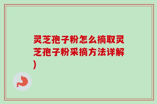 灵芝孢子粉怎么摘取灵芝孢子粉采摘方法详解)