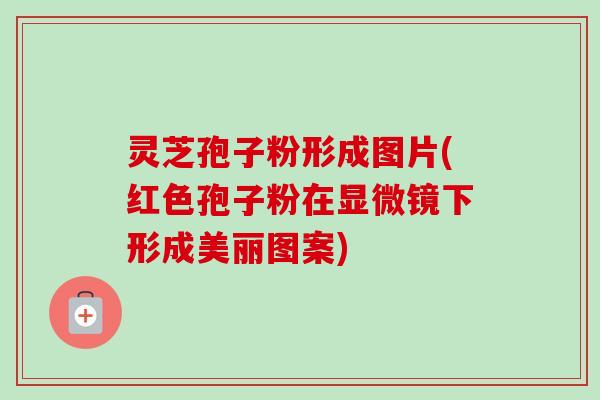 灵芝孢子粉形成图片(红色孢子粉在显微镜下形成美丽图案) 灵芝孢子粉形成图片(红色孢子粉在显微镜下形成美丽图案)