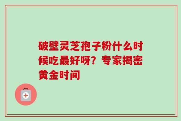 破壁灵芝孢子粉什么时候吃好呀？专家揭密黄金时间