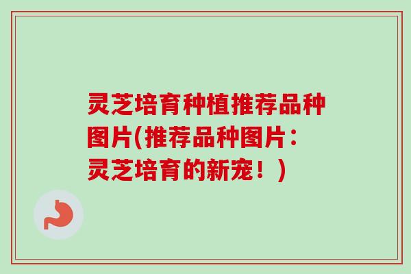 灵芝培育种植推荐品种图片(推荐品种图片:灵芝培育的新宠!) 灵芝培育种植推荐品种图片(推荐品种图片:灵芝培育的新宠!)