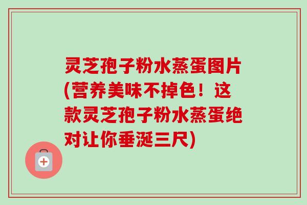 灵芝孢子粉水蒸蛋图片(营养美味不掉色!这款灵芝孢子粉水蒸蛋绝对让你垂涎三尺) 灵芝孢子粉水蒸蛋图片(营养美味不掉色!这款灵芝孢子粉水蒸蛋绝对让你垂涎三尺)