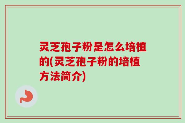 灵芝孢子粉是怎么培植的(灵芝孢子粉的培植方法简介) 灵芝孢子粉是怎么培植的(灵芝孢子粉的培植方法简介)