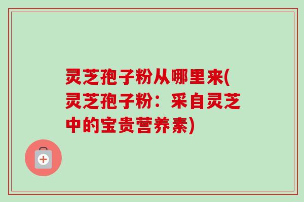 灵芝孢子粉从哪里来(灵芝孢子粉:采自灵芝中的宝贵营养素) 灵芝孢子粉从哪里来(灵芝孢子粉:采自灵芝中的宝贵营养素)