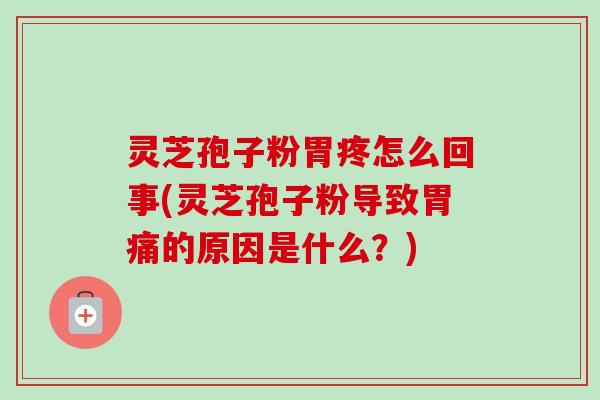 灵芝孢子粉胃疼怎么回事(灵芝孢子粉导致胃痛的原因是什么?) 灵芝孢子粉胃疼怎么回事(灵芝孢子粉导致胃痛的原因是什么?)