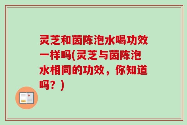 灵芝和茵陈泡水喝功效一样吗(灵芝与茵陈泡水相同的功效，你知道吗？)