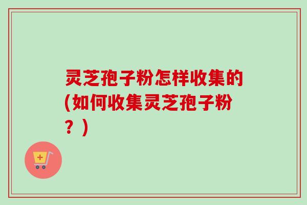 灵芝孢子粉怎样收集的(如何收集灵芝孢子粉?) 灵芝孢子粉怎样收集的(如何收集灵芝孢子粉?)