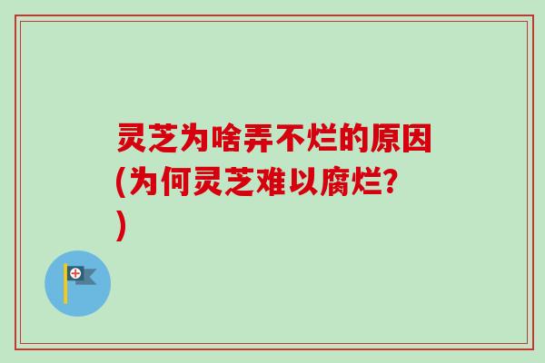 灵芝为啥弄不烂的原因(为何灵芝难以腐烂？)