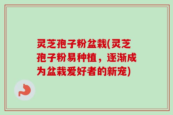 灵芝孢子粉盆栽(灵芝孢子粉易种植,逐渐成为盆栽爱好者的新宠) 灵芝孢子粉盆栽(灵芝孢子粉易种植,逐渐成为盆栽爱好者的新宠)