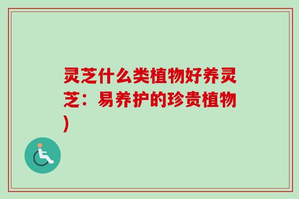 灵芝什么类植物好养灵芝:易养护的珍贵植物) 灵芝什么类植物好养灵芝:易养护的珍贵植物)