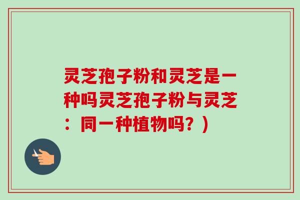 灵芝孢子粉和灵芝是一种吗灵芝孢子粉与灵芝:同一种植物吗?) 灵芝孢子粉和灵芝是一种吗灵芝孢子粉与灵芝:同一种植物吗?)