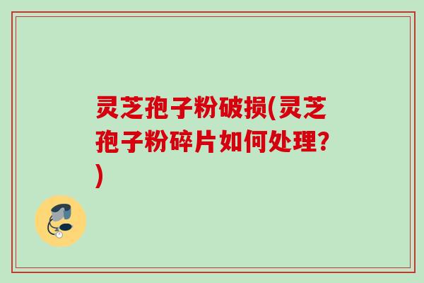 灵芝孢子粉破损(灵芝孢子粉碎片如何处理?) 灵芝孢子粉破损(灵芝孢子粉碎片如何处理?)