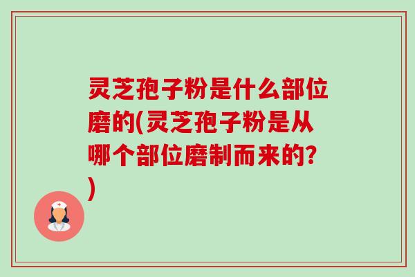 灵芝孢子粉是什么部位磨的(灵芝孢子粉是从哪个部位磨制而来的?) 灵芝孢子粉是什么部位磨的(灵芝孢子粉是从哪个部位磨制而来的?)