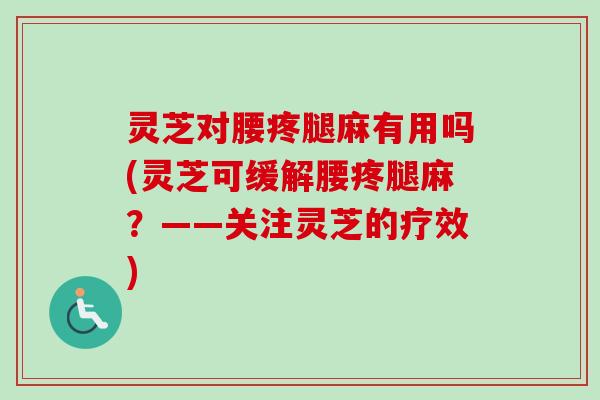 灵芝对腰疼腿麻有用吗(灵芝可缓解腰疼腿麻?——关注灵芝的疗效) 灵芝对腰疼腿麻有用吗(灵芝可缓解腰疼腿麻?——关注灵芝的疗效)