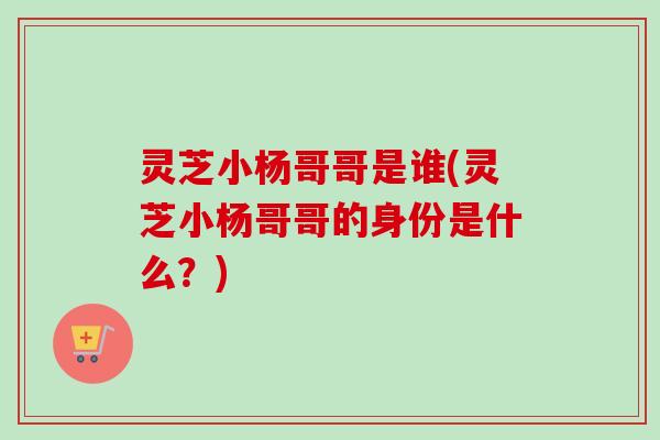 灵芝小杨哥哥是谁(灵芝小杨哥哥的身份是什么?) 灵芝小杨哥哥是谁(灵芝小杨哥哥的身份是什么?)