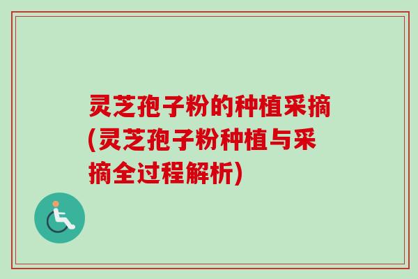 灵芝孢子粉的种植采摘(灵芝孢子粉种植与采摘全过程解析) 灵芝孢子粉的种植采摘(灵芝孢子粉种植与采摘全过程解析)