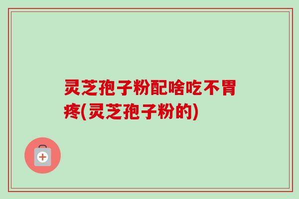 灵芝孢子粉配啥吃不胃疼(灵芝孢子粉的) 灵芝孢子粉配啥吃不胃疼(灵芝孢子粉的)