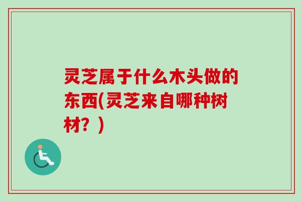 灵芝属于什么木头做的东西(灵芝来自哪种树材?) 灵芝属于什么木头做的东西(灵芝来自哪种树材?)