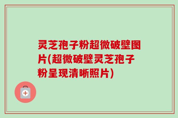 灵芝孢子粉超微破壁图片(超微破壁灵芝孢子粉呈现清晰照片) 灵芝孢子粉超微破壁图片(超微破壁灵芝孢子粉呈现清晰照片)