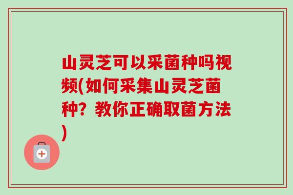 山灵芝可以采菌种吗视频(如何采集山灵芝菌种?教你正确取菌方法) 山灵芝可以采菌种吗视频(如何采集山灵芝菌种?教你正确取菌方法)