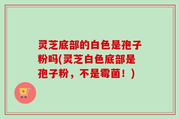 灵芝底部的白色是孢子粉吗(灵芝白色底部是孢子粉，不是霉菌！)