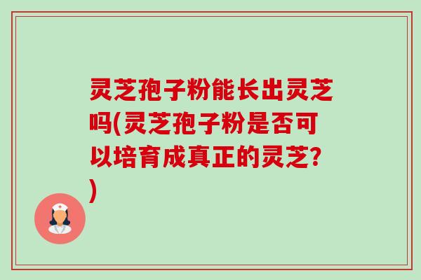 灵芝孢子粉能长出灵芝吗(灵芝孢子粉是否可以培育成真正的灵芝?) 灵芝孢子粉能长出灵芝吗(灵芝孢子粉是否可以培育成真正的灵芝?)