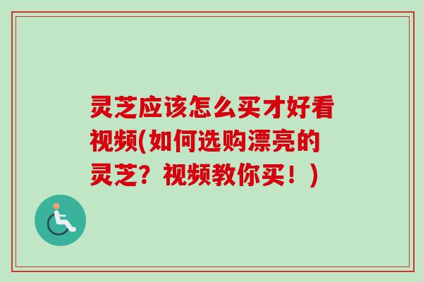 灵芝应该怎么买才好看视频(如何选购漂亮的灵芝?视频教你买!) 灵芝应该怎么买才好看视频(如何选购漂亮的灵芝?视频教你买!)