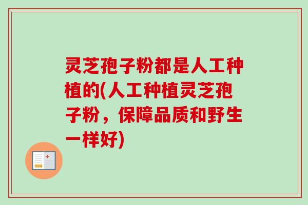 灵芝孢子粉都是人工种植的(人工种植灵芝孢子粉,保障品质和野生一样好) 灵芝孢子粉都是人工种植的(人工种植灵芝孢子粉,保障品质和野生一样好)