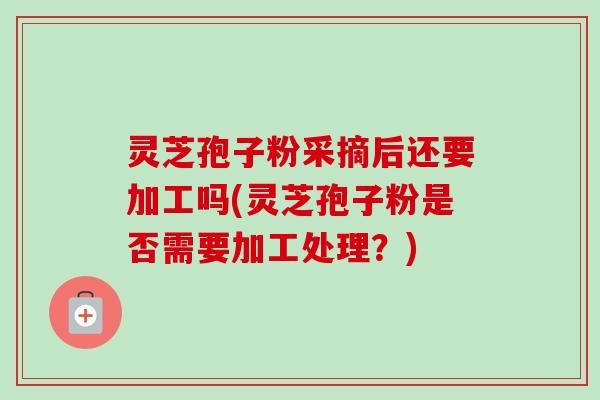 灵芝孢子粉采摘后还要加工吗(灵芝孢子粉是否需要加工处理?) 灵芝孢子粉采摘后还要加工吗(灵芝孢子粉是否需要加工处理?)