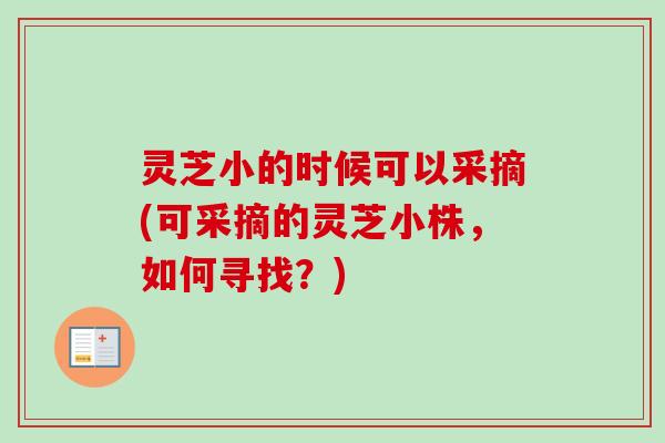 灵芝小的时候可以采摘(可采摘的灵芝小株，如何寻找？)