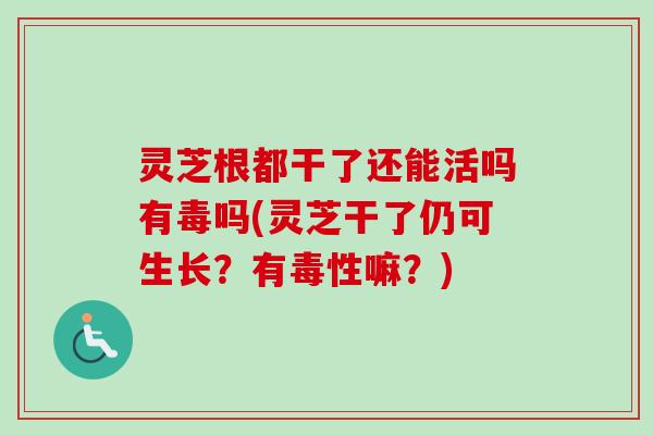 灵芝根都干了还能活吗有毒吗(灵芝干了仍可生长?有毒性嘛?) 灵芝根都干了还能活吗有毒吗(灵芝干了仍可生长?有毒性嘛?)