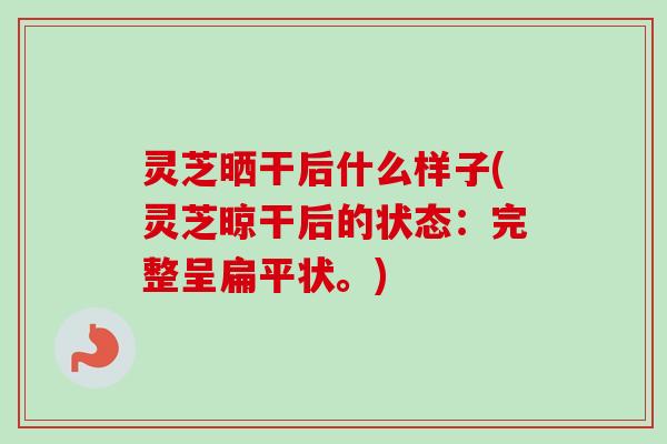 灵芝晒干后什么样子(灵芝晾干后的状态:完整呈扁平状。) 灵芝晒干后什么样子(灵芝晾干后的状态:完整呈扁平状。)