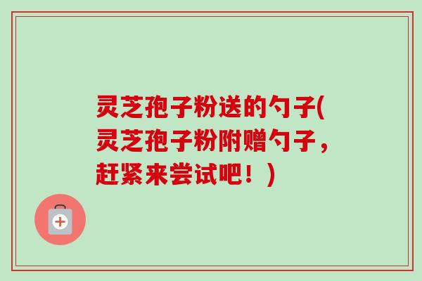灵芝孢子粉送的勺子(灵芝孢子粉附赠勺子,赶紧来尝试吧!) 灵芝孢子粉送的勺子(灵芝孢子粉附赠勺子,赶紧来尝试吧!)