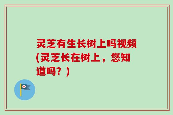 灵芝有生长树上吗视频(灵芝长在树上，您知道吗？)