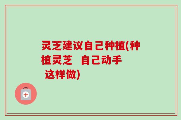 灵芝建议自己种植(种植灵芝 自己动手 这样做) 灵芝建议自己种植(种植灵芝 自己动手 这样做)