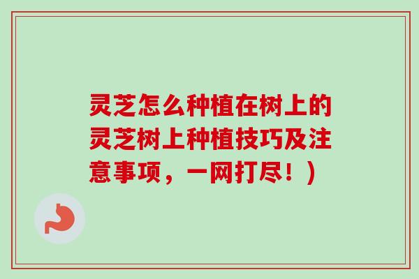 灵芝怎么种植在树上的灵芝树上种植技巧及注意事项，一网打尽！)