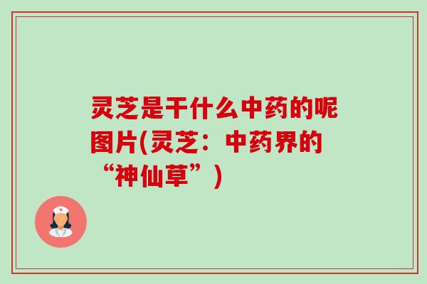 灵芝是干什么的呢图片(灵芝:界的“神仙草”) 灵芝是干什么的呢图片(灵芝:界的“神仙草”)