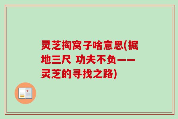 灵芝掏窝子啥意思(掘地三尺 功夫不负——灵芝的寻找之路) 灵芝掏窝子啥意思(掘地三尺 功夫不负——灵芝的寻找之路)