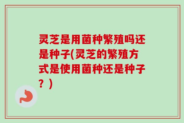 灵芝是用菌种繁殖吗还是种子(灵芝的繁殖方式是使用菌种还是种子?) 灵芝是用菌种繁殖吗还是种子(灵芝的繁殖方式是使用菌种还是种子?)