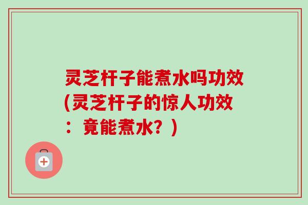 灵芝杆子能煮水吗功效(灵芝杆子的惊人功效：竟能煮水？)