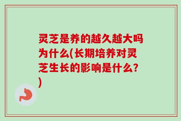 灵芝是养的越久越大吗为什么(长期培养对灵芝生长的影响是什么?) 灵芝是养的越久越大吗为什么(长期培养对灵芝生长的影响是什么?)