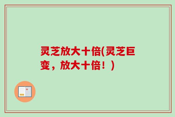 灵芝放大十倍(灵芝巨变,放大十倍!) 灵芝放大十倍(灵芝巨变,放大十倍!)