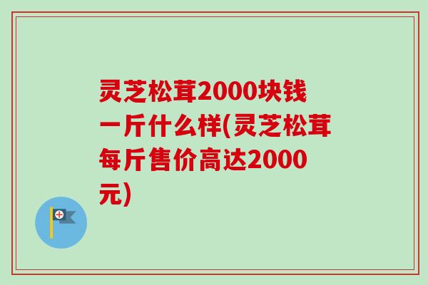 灵芝松茸2000块钱一斤什么样(灵芝松茸每斤售价高达2000元) 灵芝松茸2000块钱一斤什么样(灵芝松茸每斤售价高达2000元)