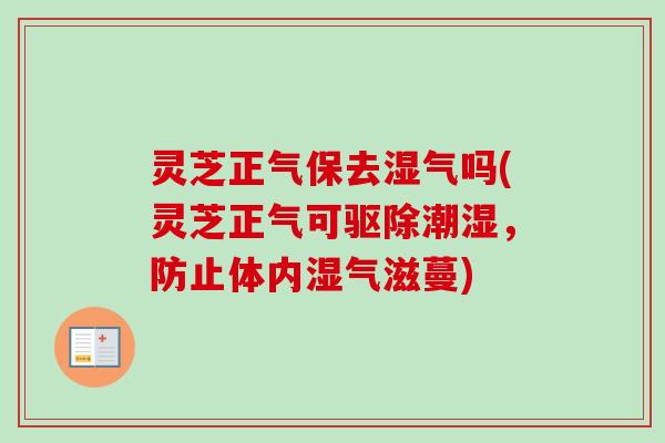 灵芝正气保去湿气吗(灵芝正气可驱除潮湿，防止体内湿气滋蔓)