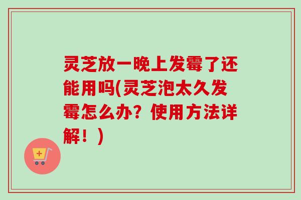 灵芝放一晚上发霉了还能用吗(灵芝泡太久发霉怎么办？使用方法详解！)